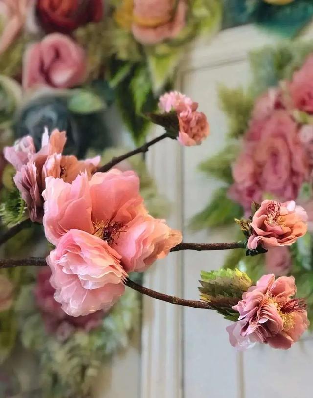 用卫生纸怎么做花，怎样用卫生纸做白花（她用纸种花，美成了童话）