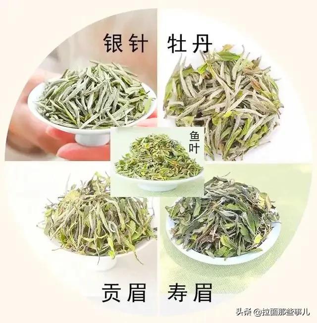 茶叶的种类有哪些，茶叶的种类有哪些种类 题目（认准中国6大茶类）