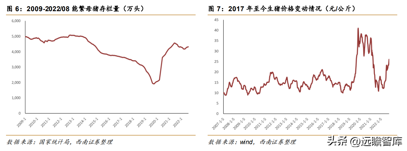 上海多肽合成（高科技动保企业）