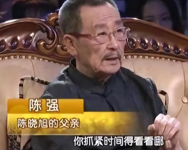 陈晓旭的第一任丈夫，陈晓旭的第一任丈夫（陈晓旭：两段婚姻没有生孩子）