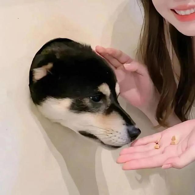 微信头像尺寸是多少，微信头像的尺寸是多少（自己动手拍情侣头像简直太甜了）