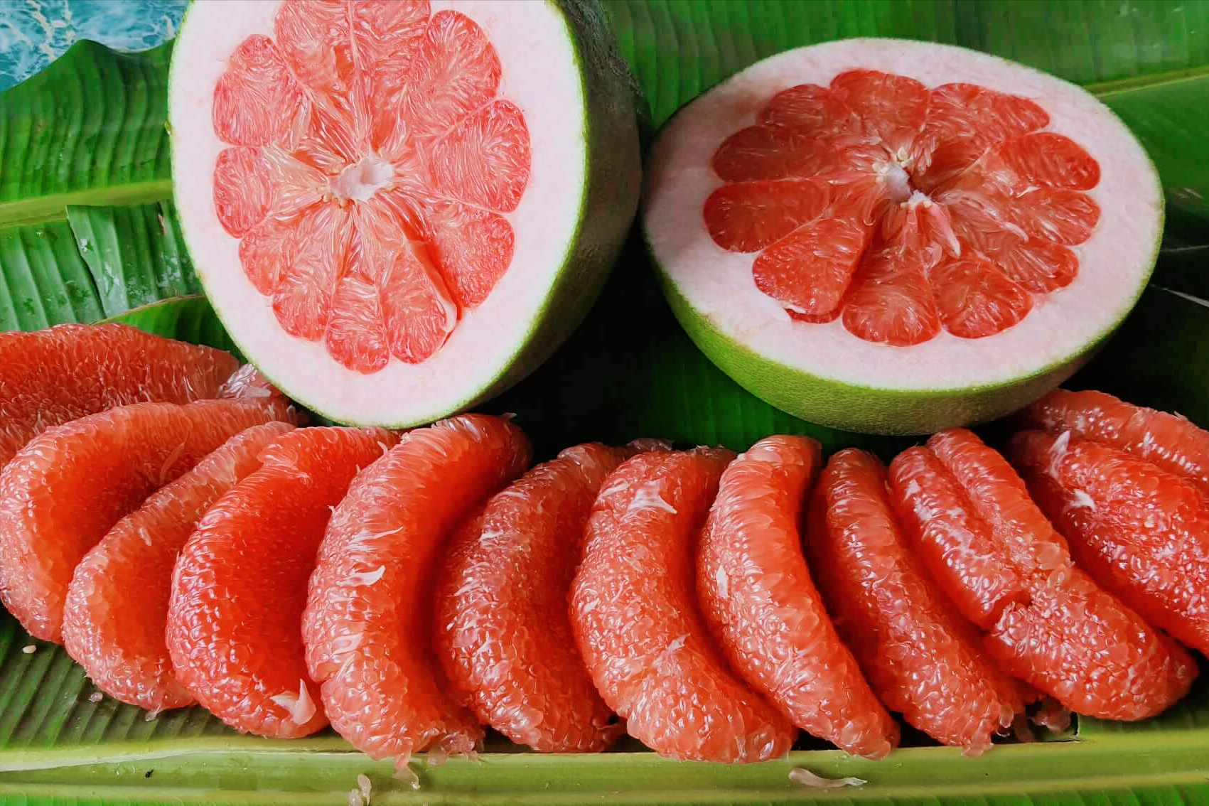 红宝石青柚的零售价格在市场上一个能卖到600多元,一斤柚子150—200元