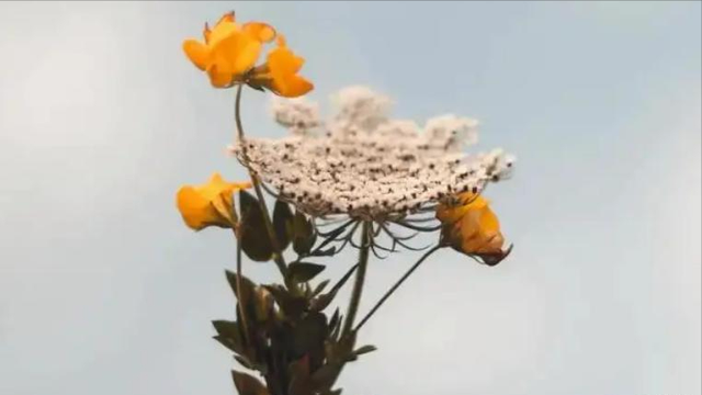 朋友不想搭理你的表现，好朋友疏远你的表现（打心底里瞧不起你）