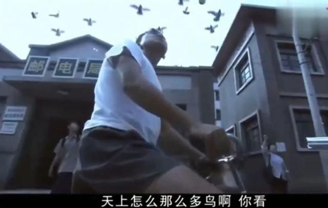 蝙蝠是鸟吗，四川德阳傍晚出现“密集鸟群”（蝙蝠是鸟吗请说明你的理由）