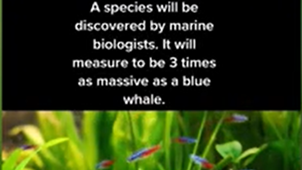 预言2022年要发生的大事，预言2022年要发生的大事视频（预言2022年将要发生的三件大事）