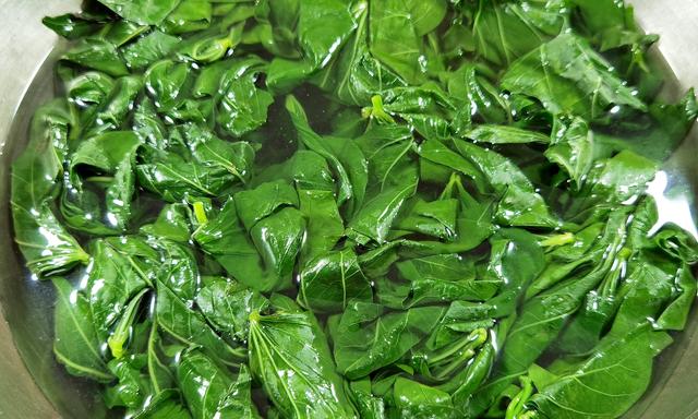 红薯杆子的功效与作用，红薯全身是宝