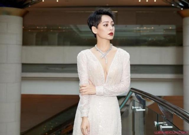 宁静个人资料简历(两段失败的婚姻,49岁只谈恋爱不想再婚) - 龙腾网