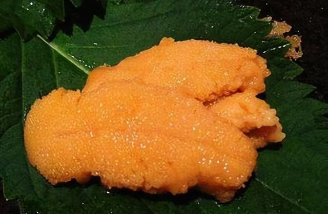 刺身到底有什么好吃的，刺身到底有啥好吃的
