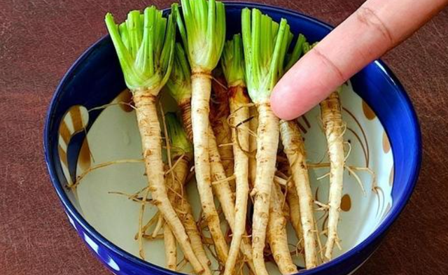 空心菜叶子能吃吗，空心菜的叶子不能吃（5种“青菜根”）