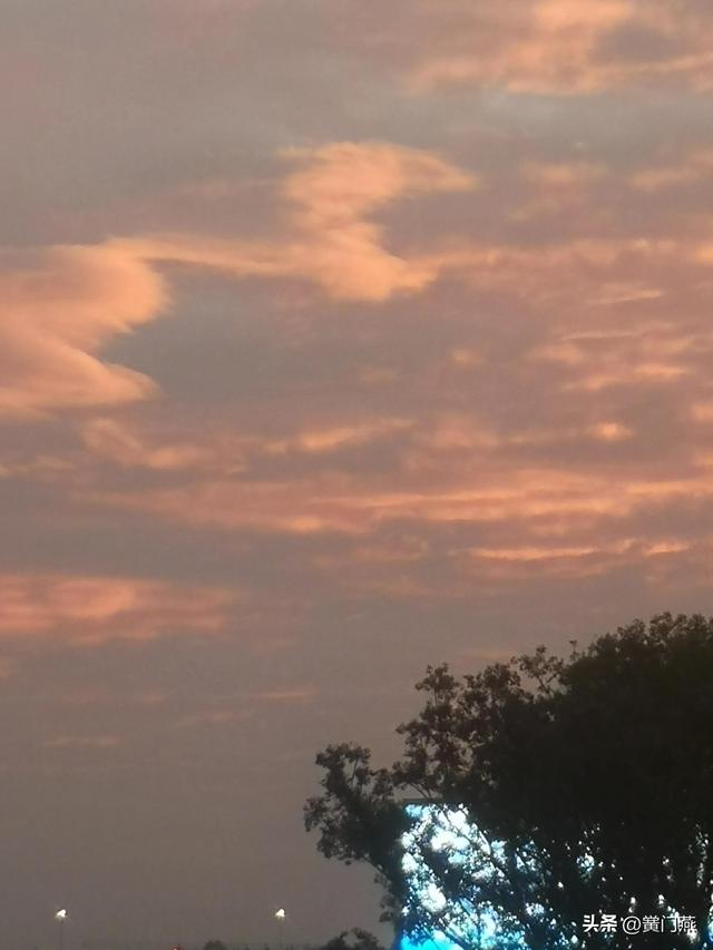 晚风拂柳笛声残，晚风拂柳笛声残看红叶秋色染（《卜算子·夕阳》）