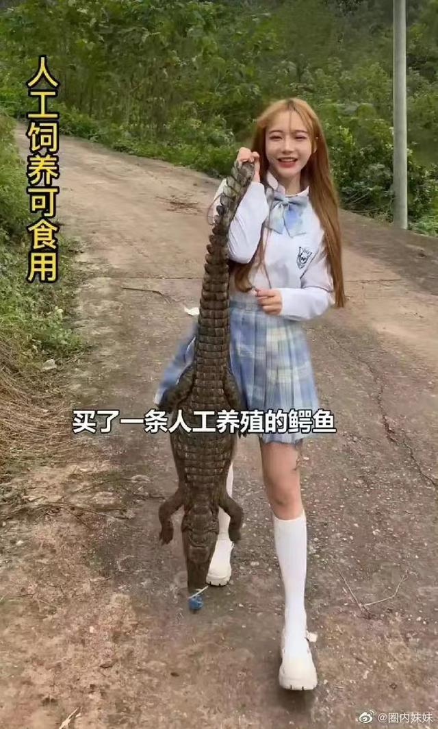 肥肥鲨，微信头像，肥肥鲨（被指吃相难看像恐怖片）