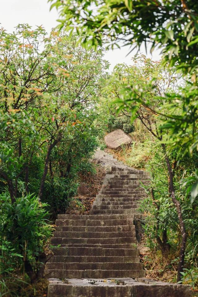 深圳大鹏湾旅游景点，深圳哪个旅游景点最好玩（登深圳753 米高梅沙尖）
