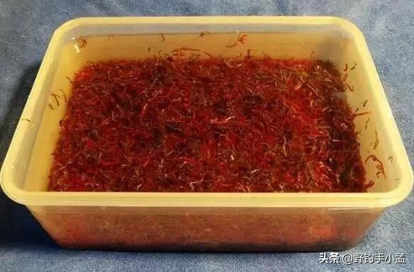 保存蚯蚓长期不死的方法，抓蚯蚓最简单的方法（一分钟学会三种方法）