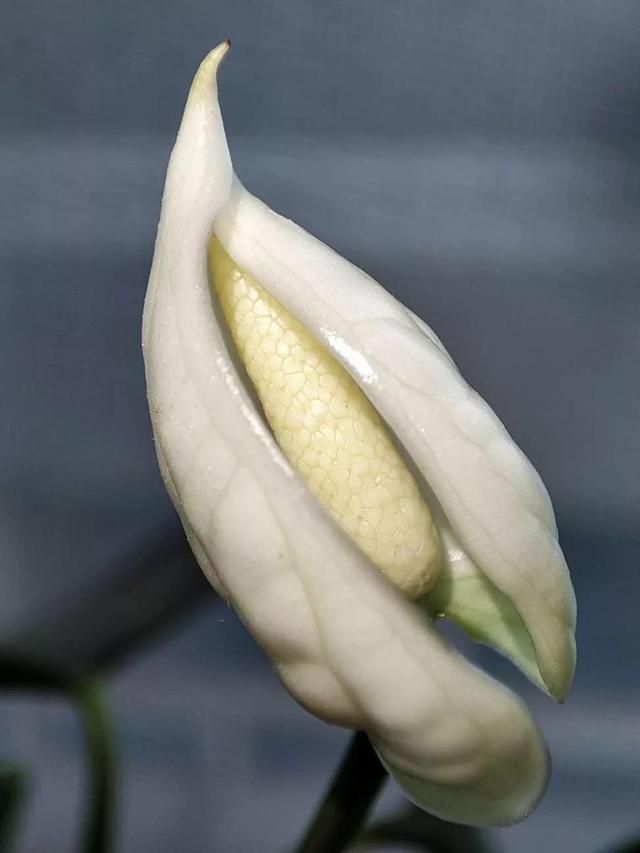 灵魂相似的人一旦相逢，灵魂相似的人一旦相逢是知心朋友（总有一天会在路上相逢）