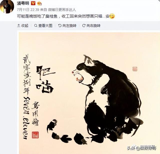 潘粤明年轻时的民国戏，十年前董洁王大治的瓜