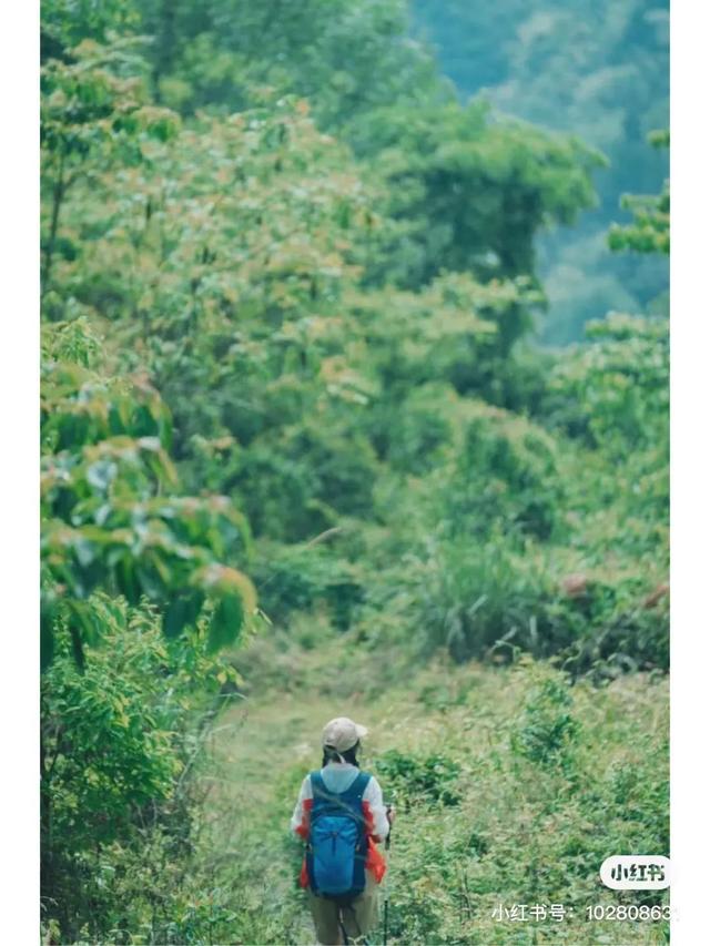 距离成都2小时小众的露营基地，成都近郊9个小众徒步露营耍水地