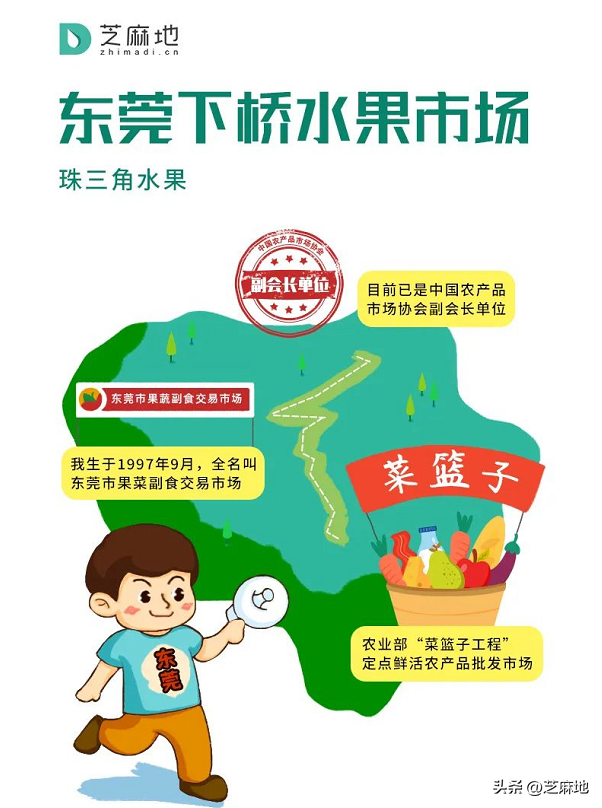 下桥水果批发市场，龙眼或者桂圆肉的产地在哪里（这10个市场表示不服）