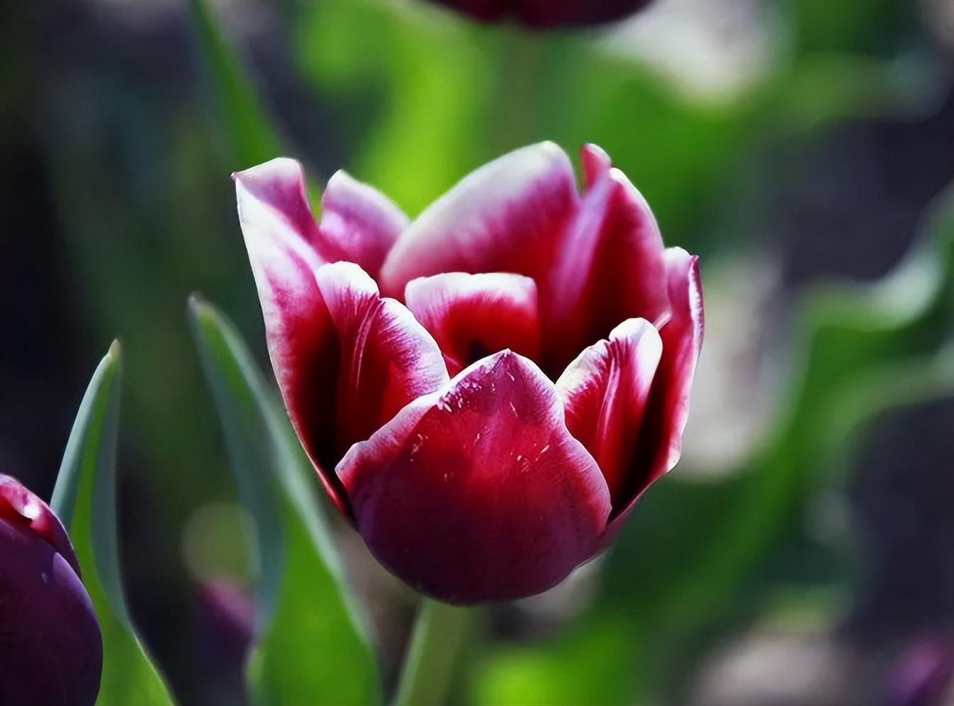 法律专家意见书（值得深交的人）