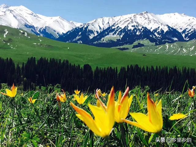 南疆和北疆的区别，第一次到新疆（南疆和北疆的区别很大）