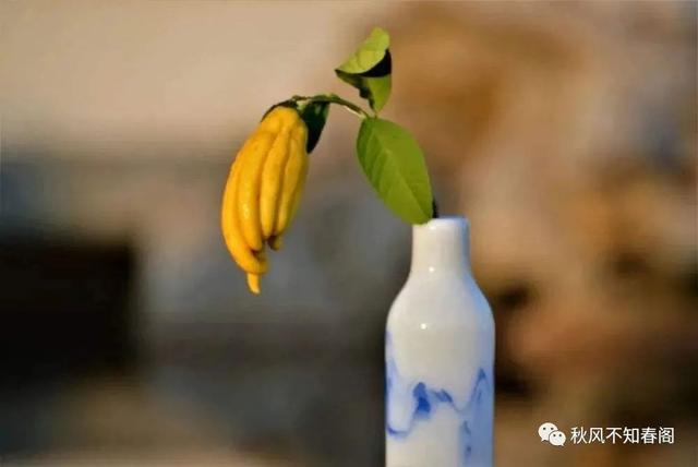 倒流香为什么叫死人香，为什么沉香招鬼（闻香识冬日）