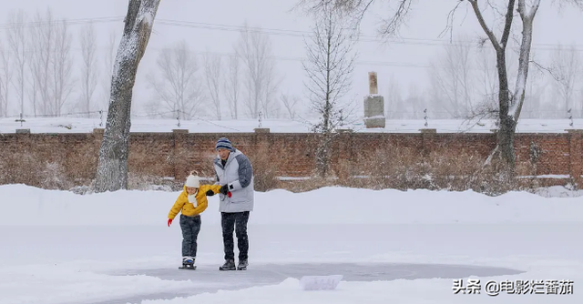 收视率最高的电视剧排行榜前十名，获奖电视剧排行榜前十名（近30年口碑最好的10部历史剧）