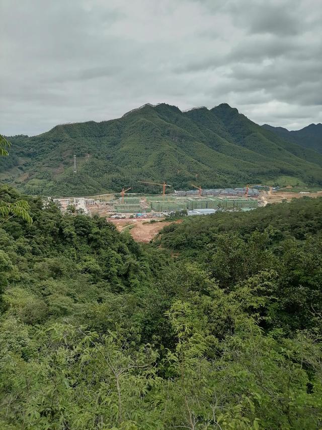 大自然的搬运工，大自然的搬运工是什么动物（大自然的搬运工是什么动物日记）