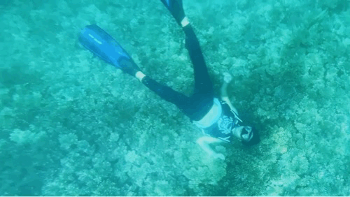 苏梅岛旅游攻略线路，苏梅岛旅游报价（我在这个小岛提早过起夏天了）