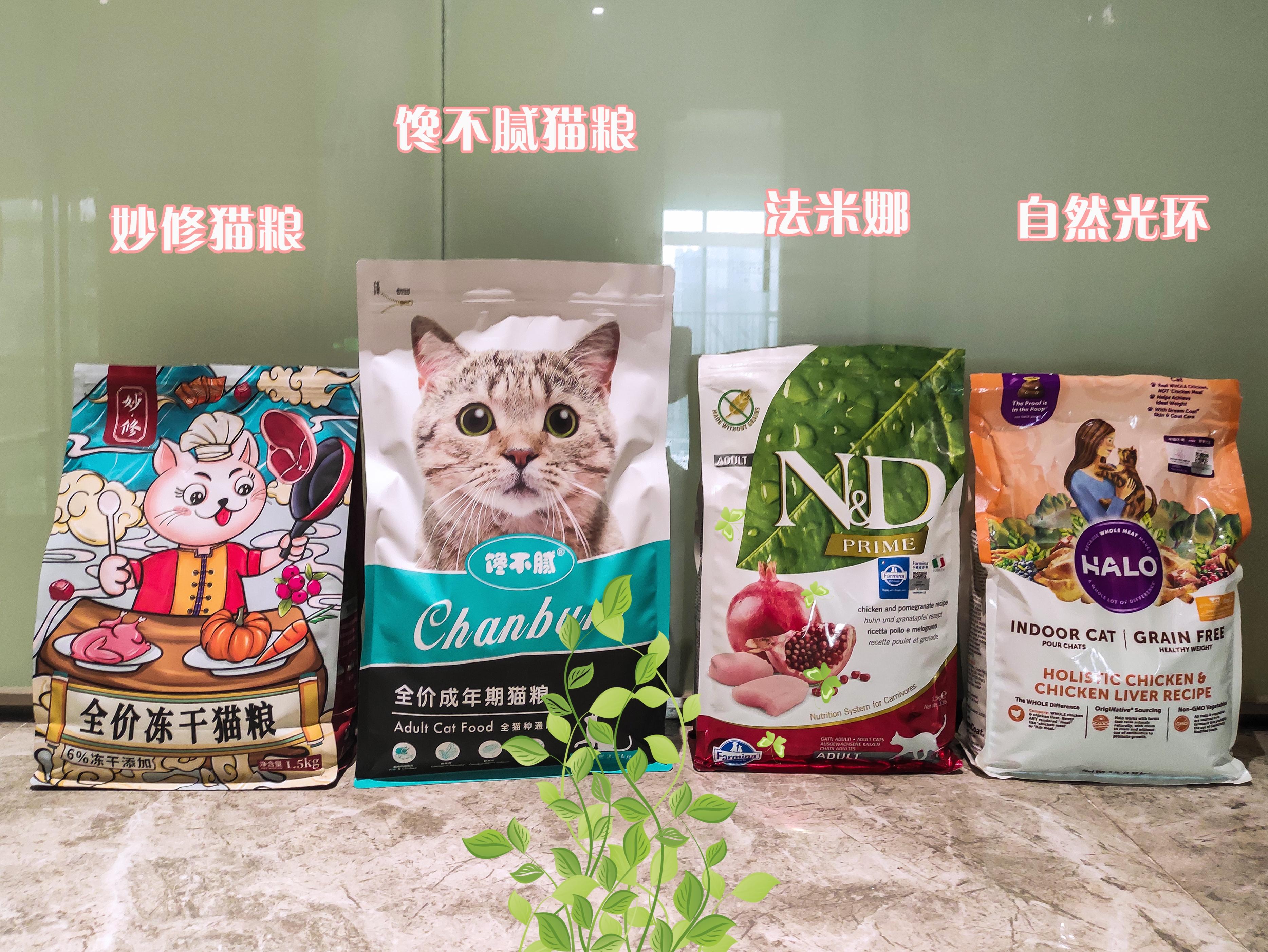 2周大的猫吃多少奶 二周小猫一次吃多少