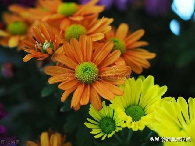 春夏秋冬分别是哪几个月，日本春夏秋冬分别是哪几个月（春、夏、秋、冬，对应什么）