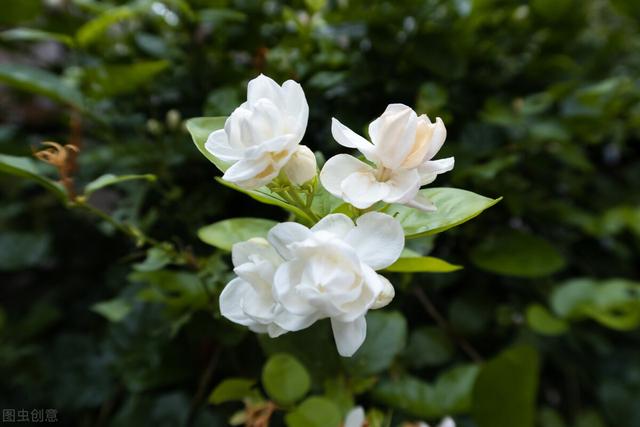 温柔到爆的神仙网名两个字，温柔到爆的神仙网名（佛系经典网名）