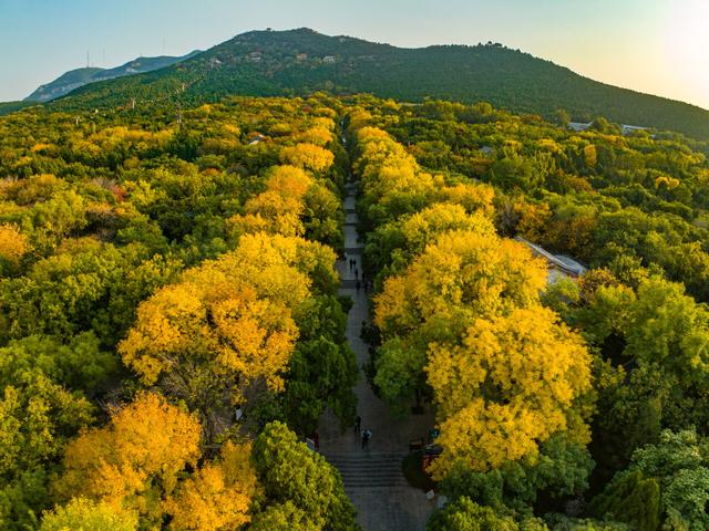 濟南千佛山旅遊攻略,濟南千佛山風景區旅遊攻略(濟南千佛山深秋景色