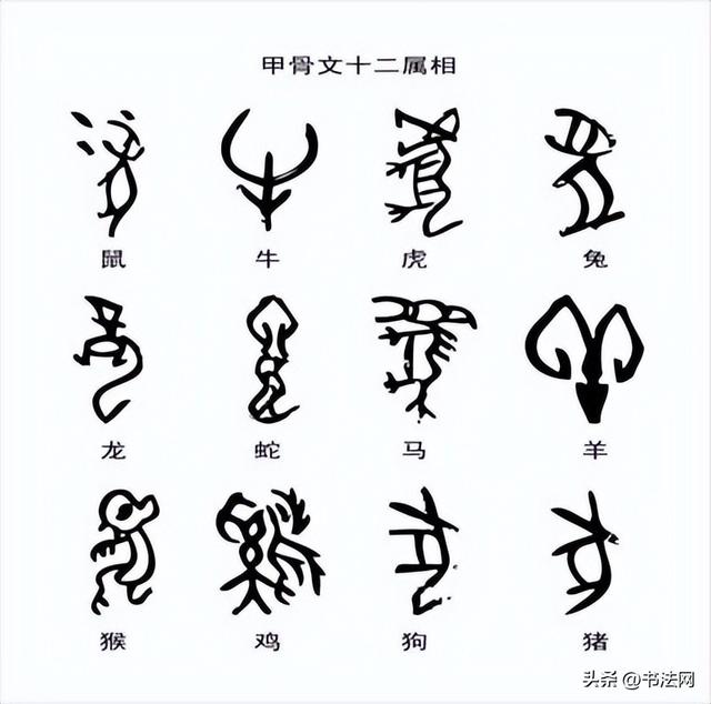 一分钟了解甲骨文的特点，学它要注意哪些问题