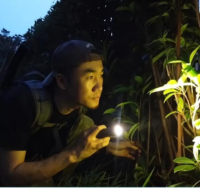 梦见整个房间东西全是白色的，梦见家里全是白色（曾花39天搜寻一只猫咪……“宠物侦探”你听过吗）