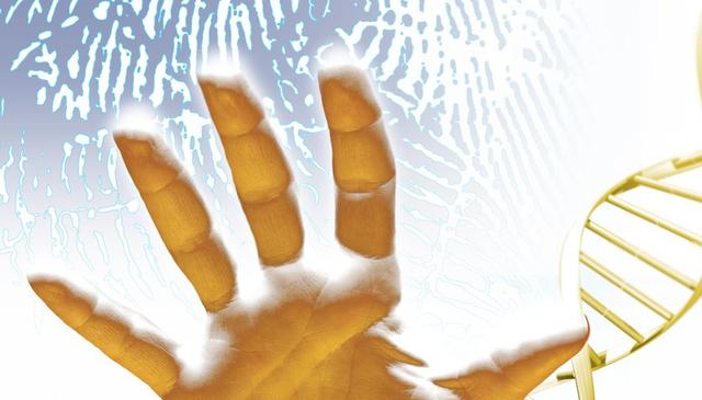 中华指纹奥秘图解，中科院发现指纹斗与簸箕的奥秘