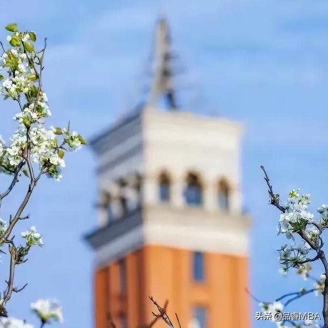 2022研究生录取通知书什么时候发，2022研究生录取通知书几月发放（云南大学关于2022年硕士研究生拟录取后续工作安排的通知）