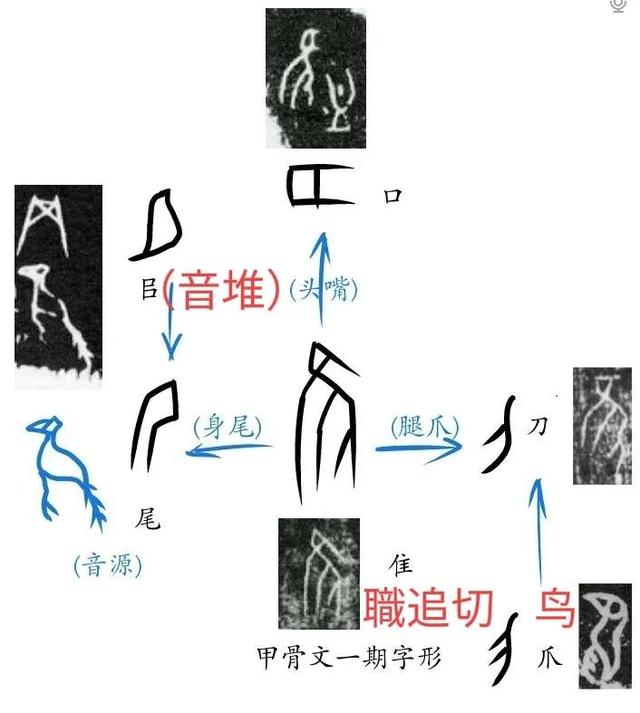 简笔画牛头的方法，怎么画牛头的简笔画（使用画画方式解读甲骨文的做法是对古文字本质的误导和错误认知）