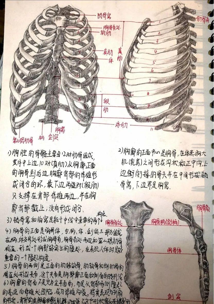 四川印刷（膜拜）