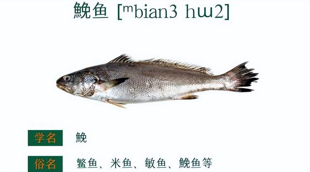 赤魟鱼的做法有哪些，赤眼鲮鱼的做法（香葱香菜豆豉油清蒸迦魶魚）