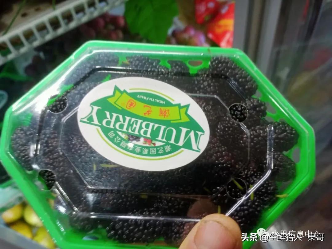 浆果是什么，浆果是什么软件（不同水果的不同包装<浆果篇>）