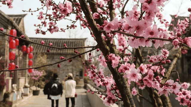 江苏徐州旅游景点，徐州市内的旅游景点（这一份“攻略”快收藏起来）