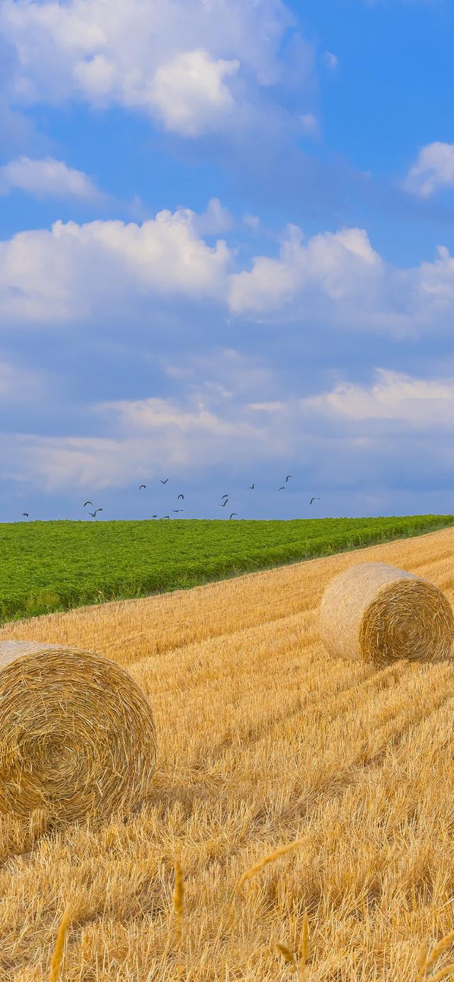 夏天干净治愈系美图 前方的风景好 我的意思是别回头,治愈的夏天图片