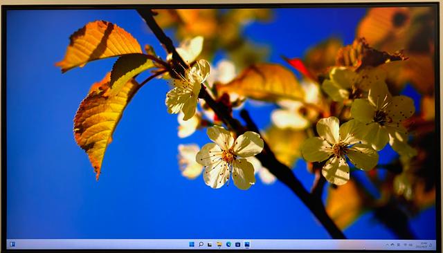 显示器与主机连接线图，怎样连接电脑主机与显示器（INNOCN专业美术显示器）