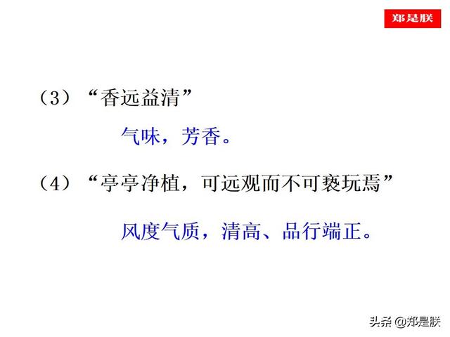 爱莲说原文朗读，爱莲说拼音版原文（部编人教版七年级语文下第17课《爱莲说》周敦颐-诵读+课件）