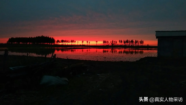 回到村里去种地，大学生毕业后回到老家种地（20岁回到农村包300多亩地）