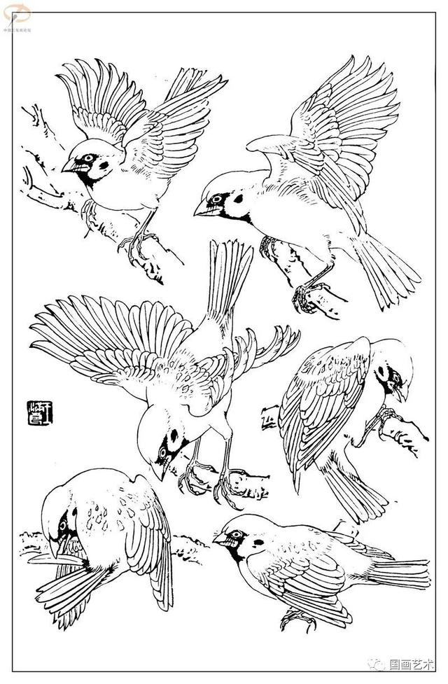 火的简笔画图片，火焰怎么画简笔画图片（画鸟参考——白描麻雀百图）