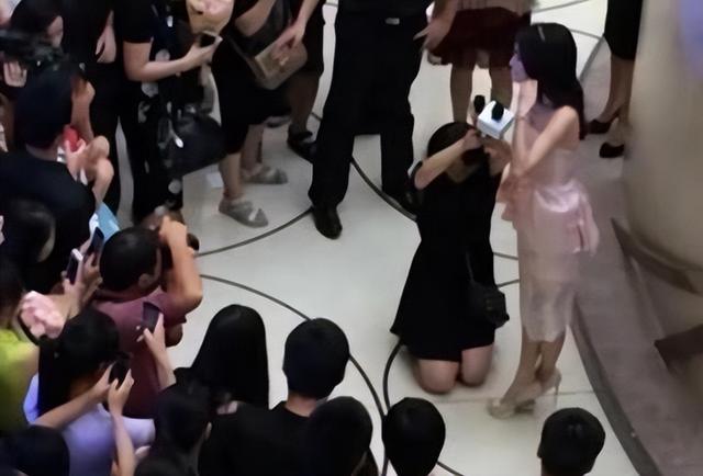 苏有朋和秦岚一起演的电视剧叫什么名字，苏有朋和秦岚的电视剧有哪些（“隐形富婆”秦岚）