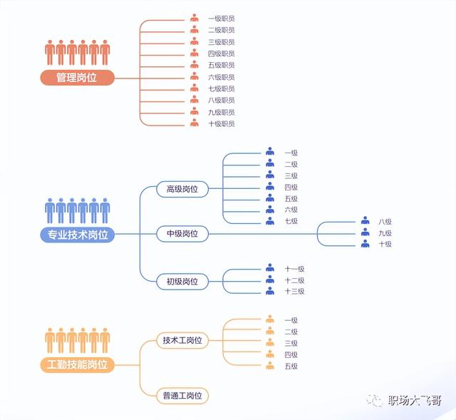 组织员的主要职责是什么，组织委员的职责是什么（十分钟带你了解“体制内”）