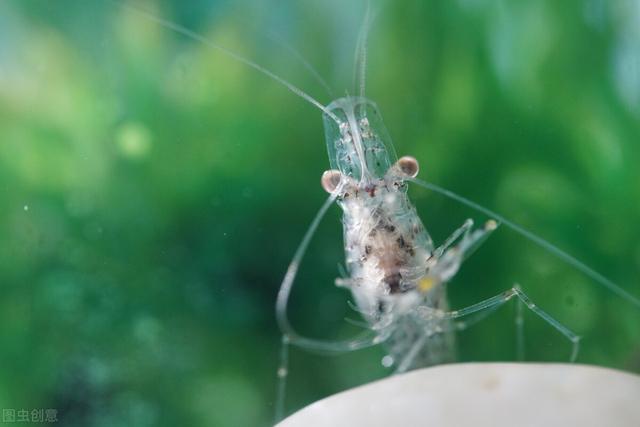 一什么鱼塘，一什么鱼塘量词（家乡的那一方鱼塘）