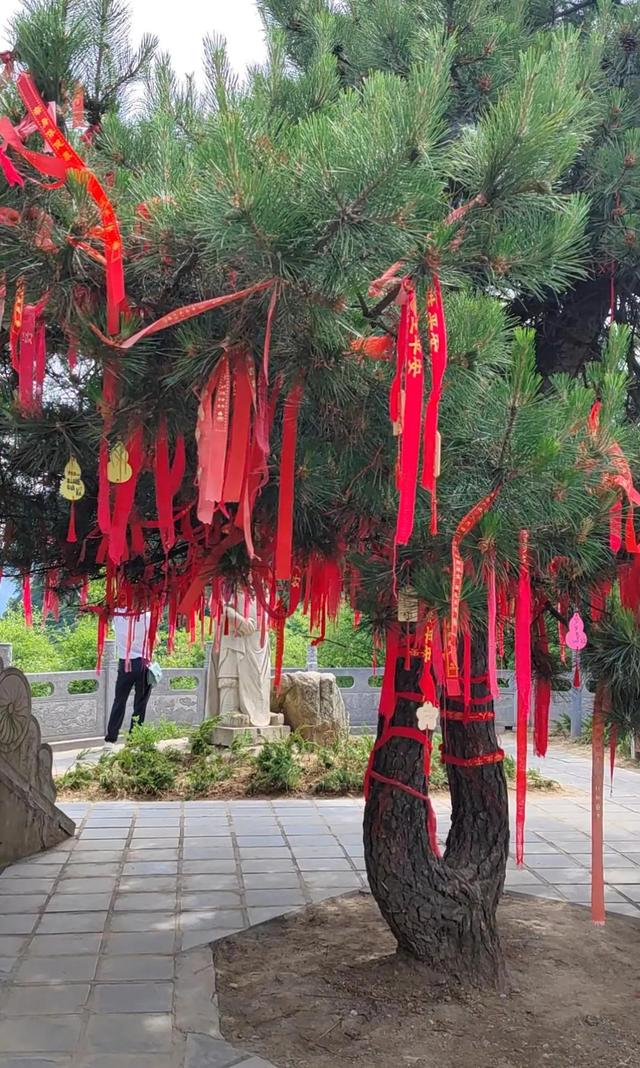 终南山景区介绍，西安终南山纯玩一日最全攻略送给你