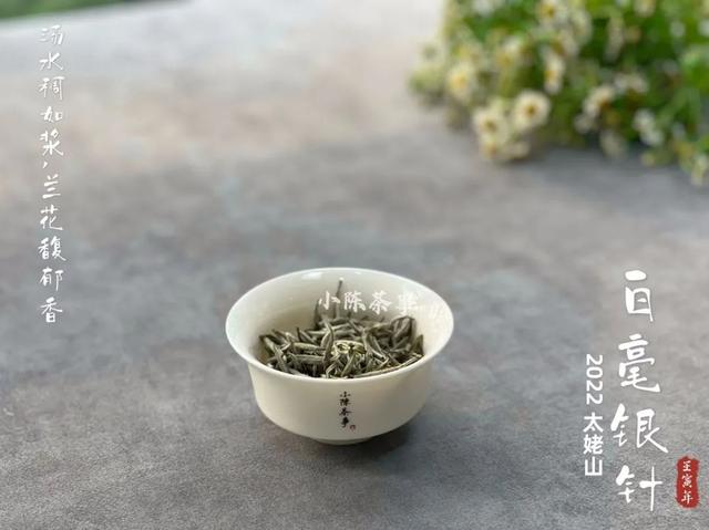 白毫银针怎么泡，白毫银针如何冲泡（好几千买的白毫银针）